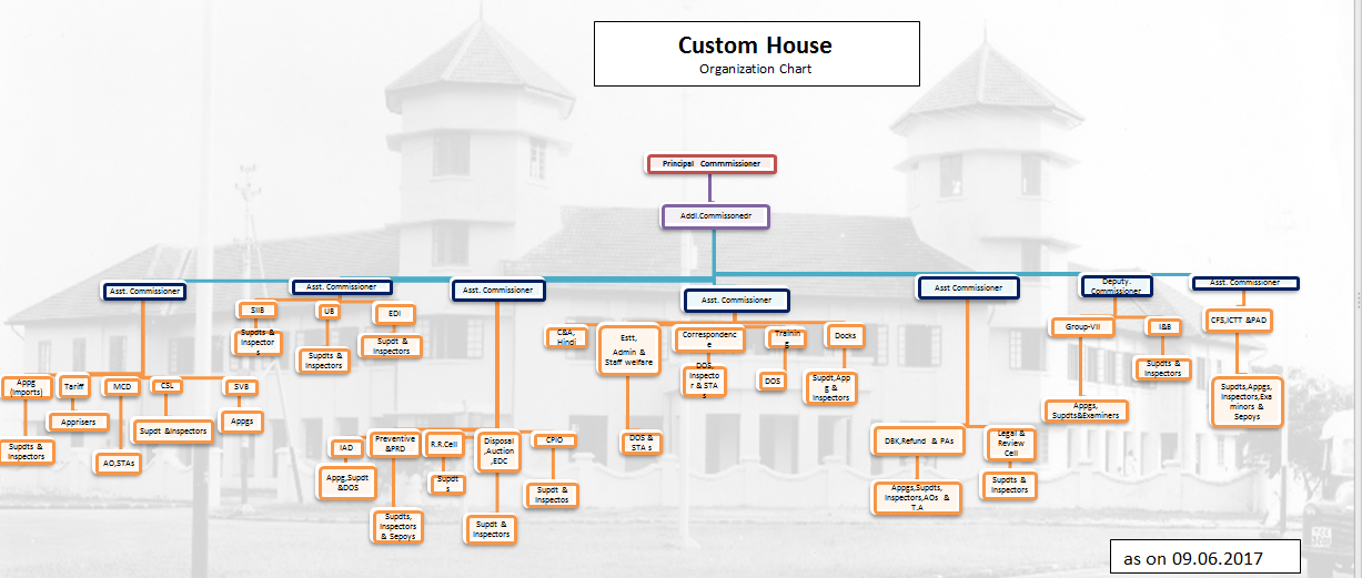 Organization Chart